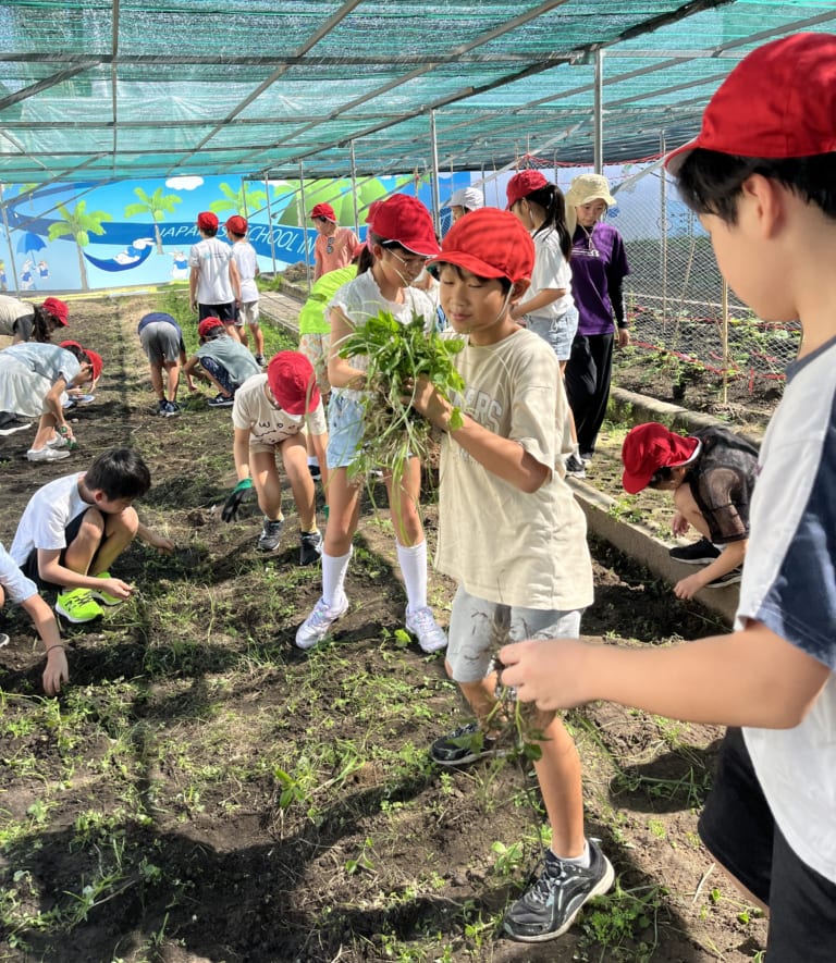【小５】総合　野菜作りスタート！！